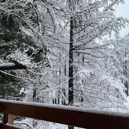 Tannegg Saas Fee